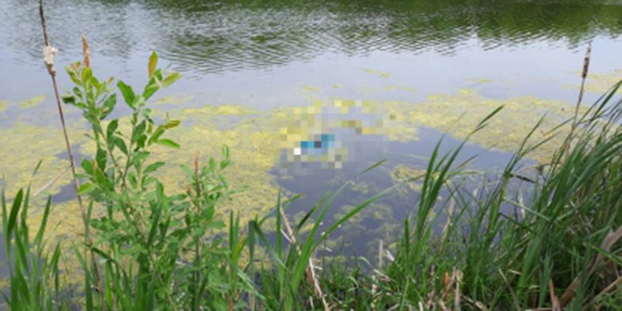 Потерявшуюся под Саратовом пенсионерку обнаружили мертвой в реке