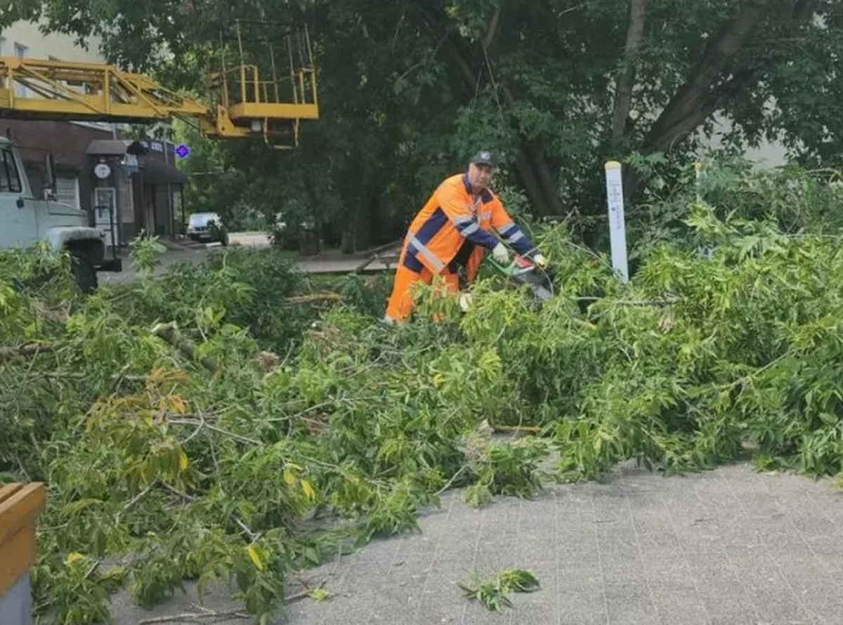 В Ивантеевке Городского округа Пушкинский опилили нависающие деревья на ул. Первомайской