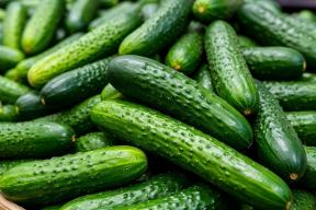 Цены на огурцы в Новосибирске заметно снизились к середине марта