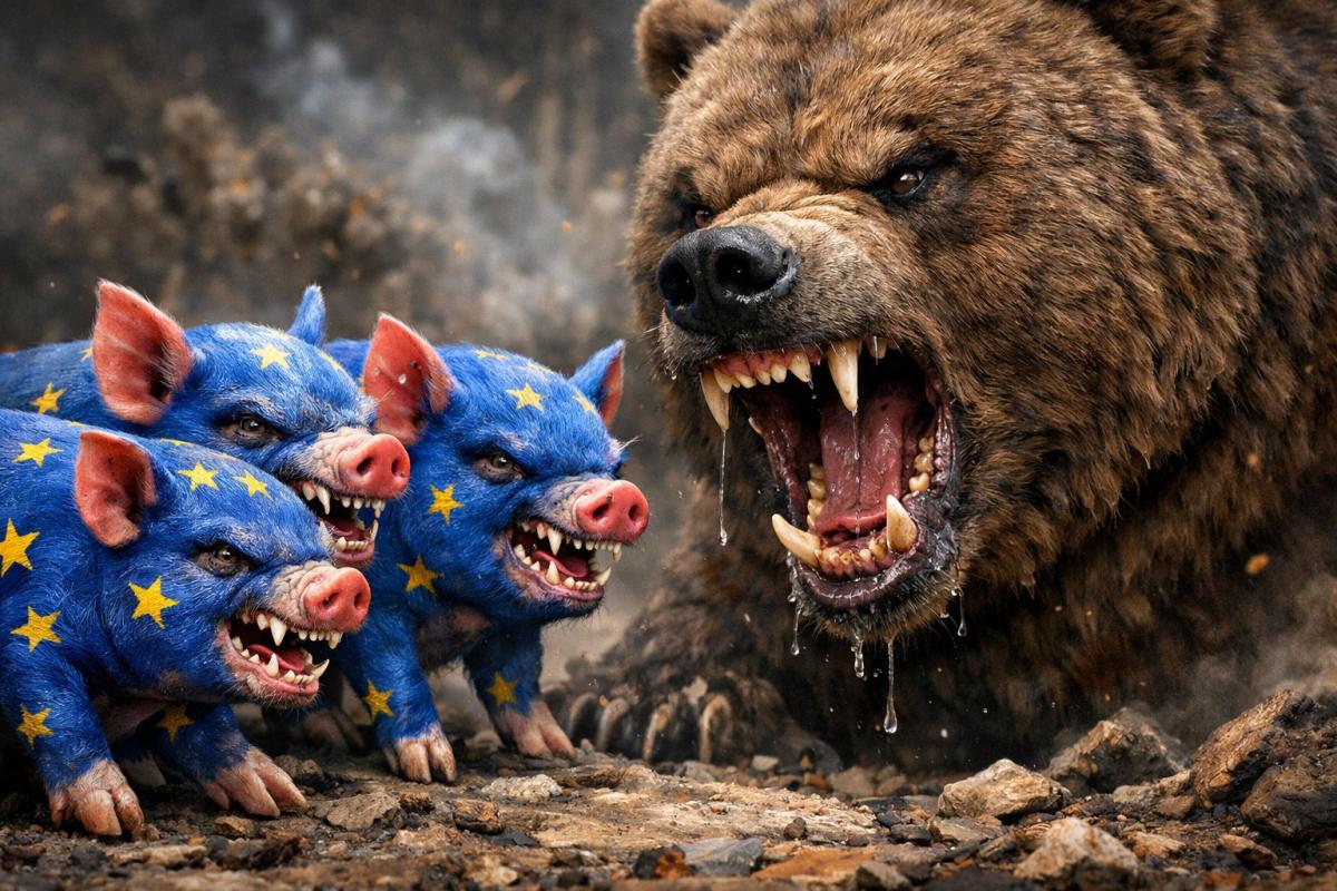 Западные СМИ не могут правильно перевести слово «подсвинки»