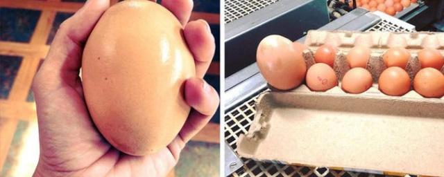 Фермер из Австралии нашел куриное яйцо внутри другого яйца