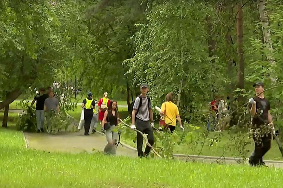 Заельцовский парк преобразился за один день благодаря новосибирцам