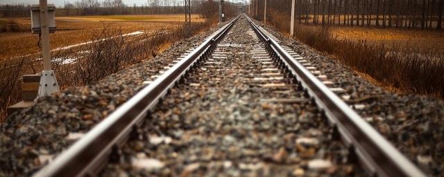 Two schoolgirls killed by train in Lyubertsy