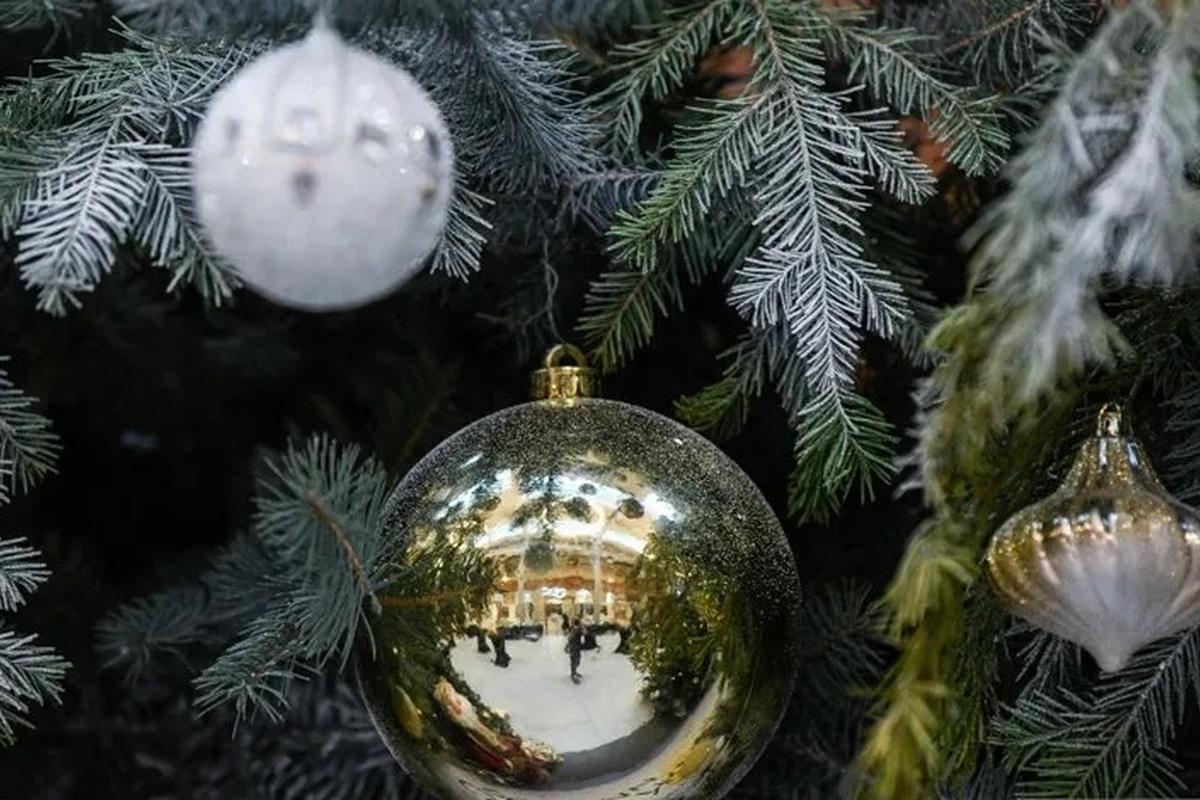 Волгоград в топе: лучшие города для зимнего отдыха по версии туристов