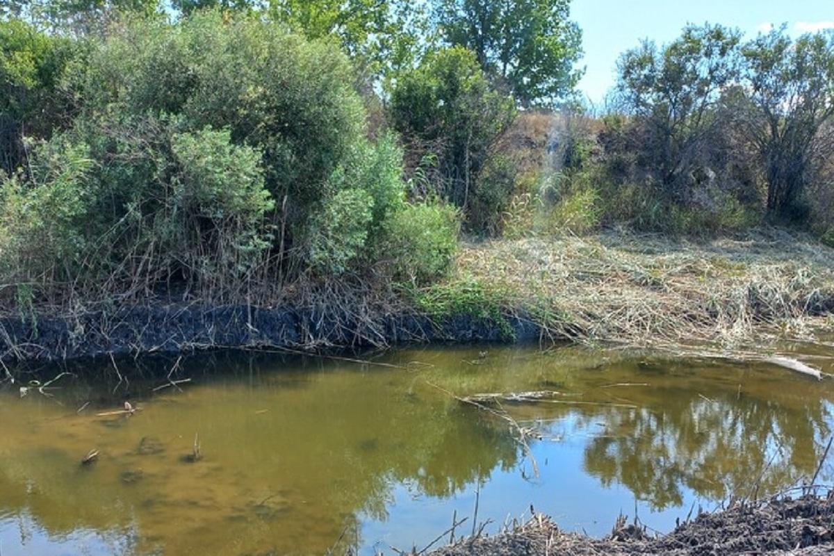 В Запорожской области рассказали, как преобразится русло реки Берда
