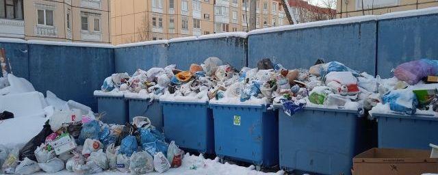 Власти Петербурга пообещали наладить плановый вывоз мусора до конца января