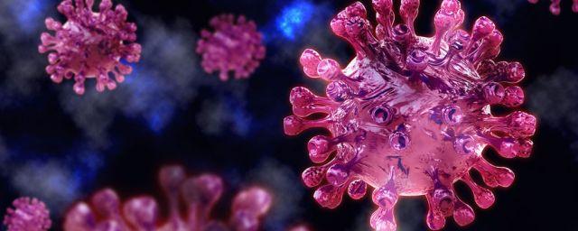 Ученые Монреальского Университета: у пожилых людей вырабатывается больше антител к ковиду