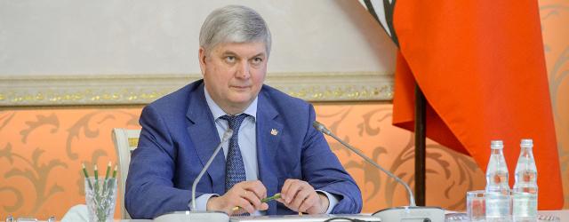 Губернатор разрешил проводить политические съезды в Воронежской области