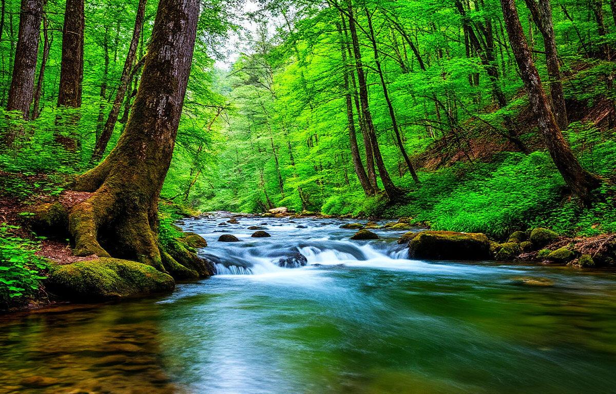 Александр Чикин рассказал, как помочь детям побороть экотревожность