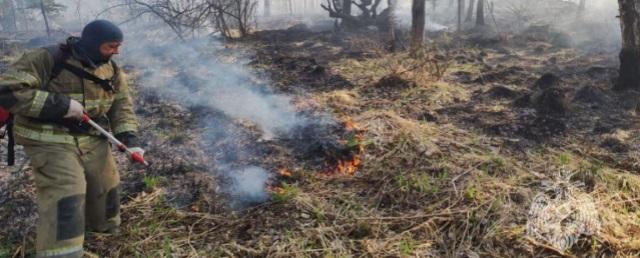 В Свердловской области локализовали последний лесной пожар