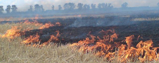 В Смоленской области общая площадь пала травы составила 190 га