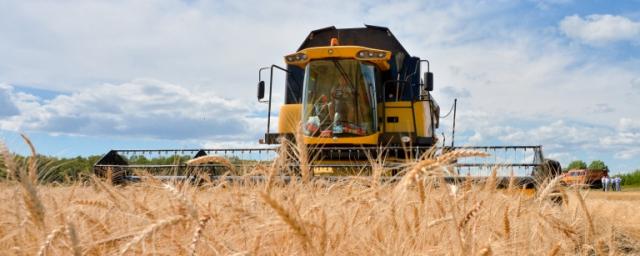 Татарстан планирует увеличить урожай зерна до 5 млн тонн