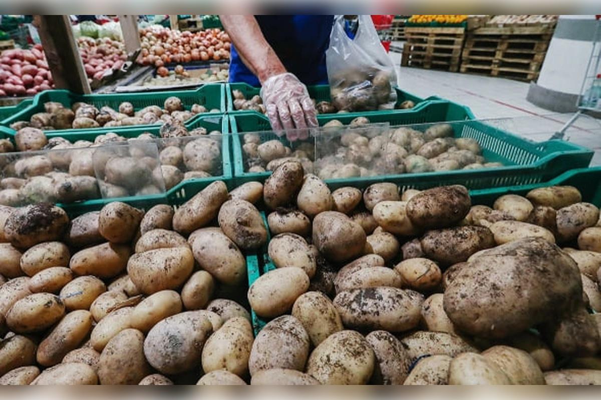 Экономист Леонид Холод считает, что к июлю в стране цены на картофель могут снизиться