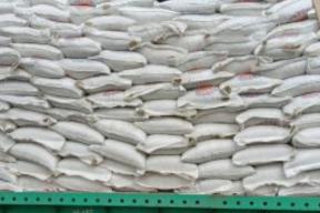 Российский торф рванул в Азию: поставки из Приморья в Китай и Японию бьют рекорды