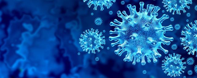 За сутки в России выявили 6 635 заболевших коронавирусом
