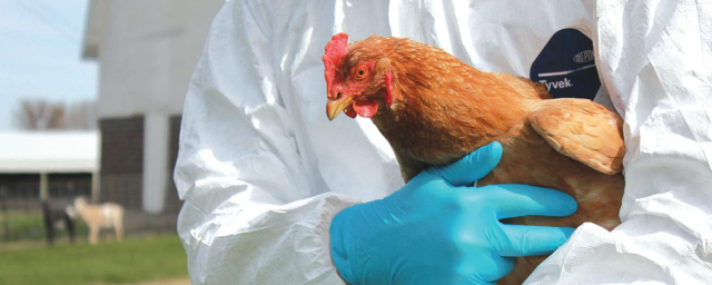 Вирусолог рассказал о не менее опасной болезни, чем ковид