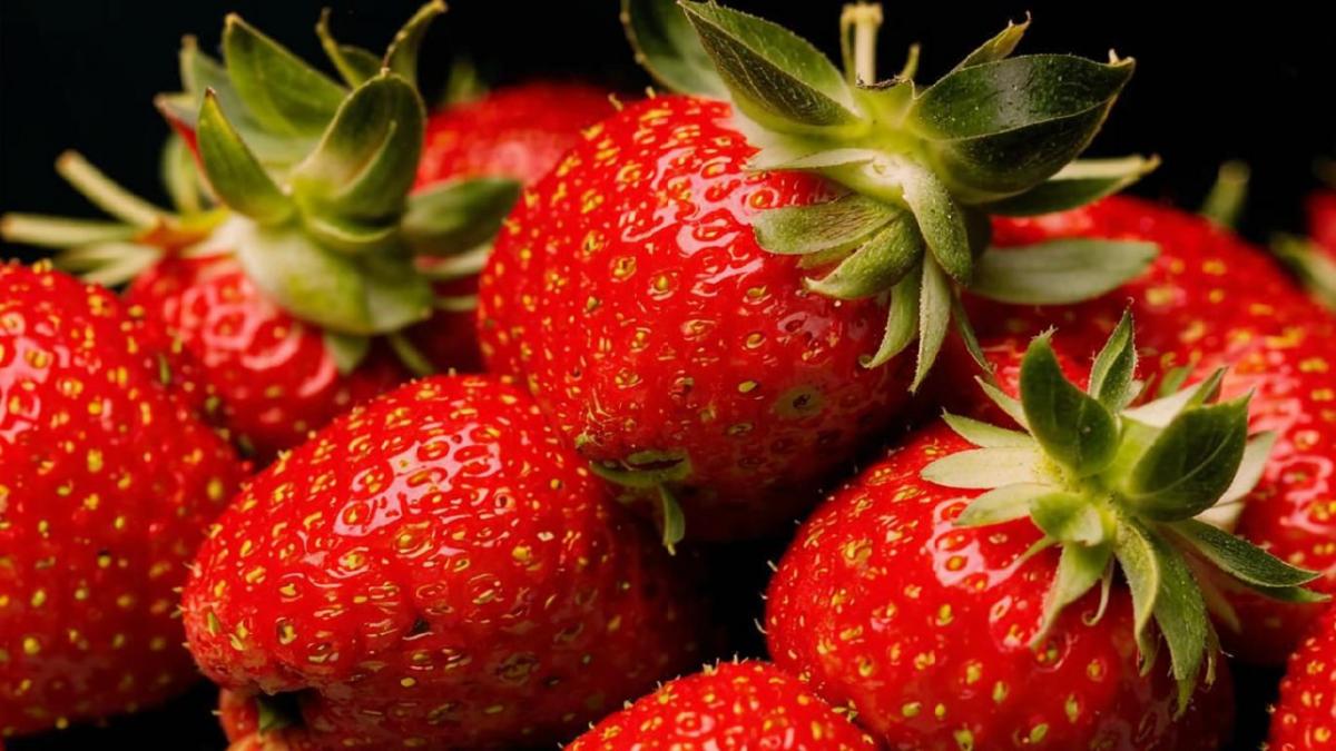 Специалист предсказал значительное снижение стоимости определённого товара в мае