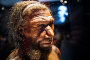 Найдены различия в адаптации детей неандертальцев и кроманьонцев к условиям палеолита