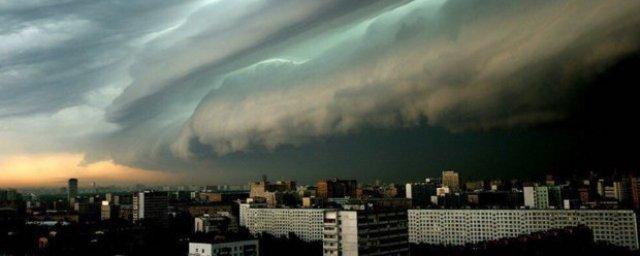 В МЧС предупредили жителей Подмосковья о сильном ветре с дождем
