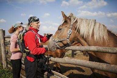 Минсельхоз РФ направит 500 млн рублей на поддержку проектов в 50 регионах страны