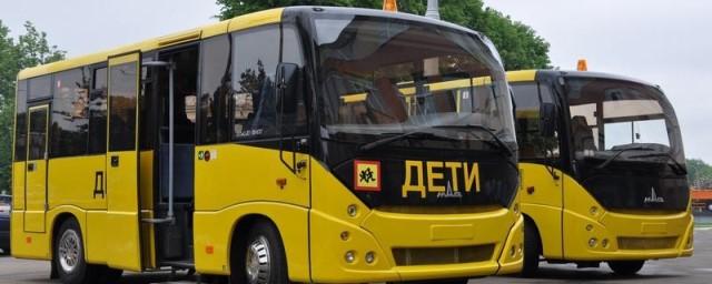 Правительство выделило 3 млрд рублей на закупку школьных автобусов