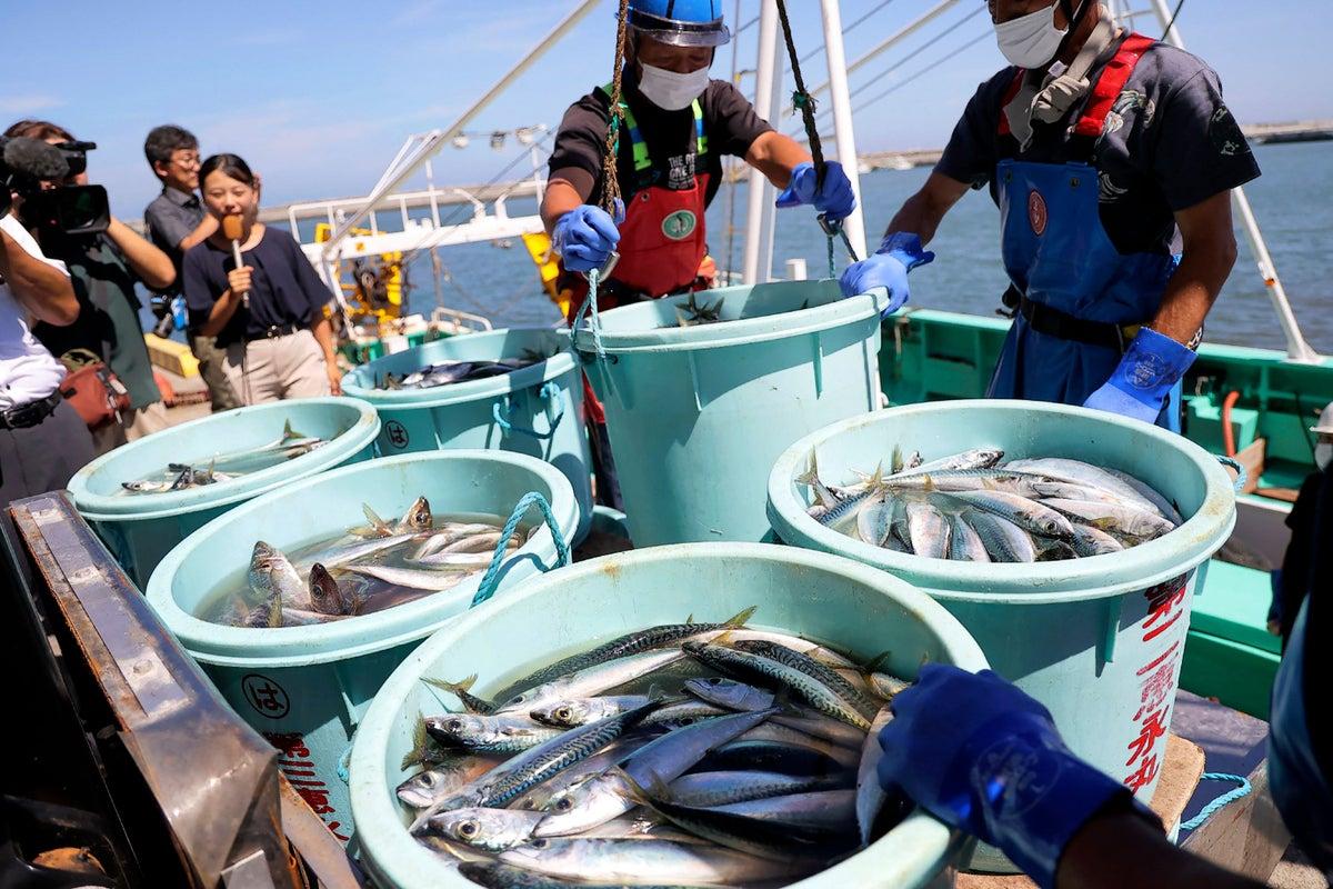 Рыбаки Японии хотят наладить отношения с Россией