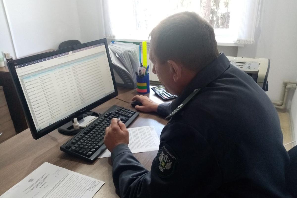 В Запорожской области раскрыли мошенническую схему ООО «Южный мёд» с фантомными площадками