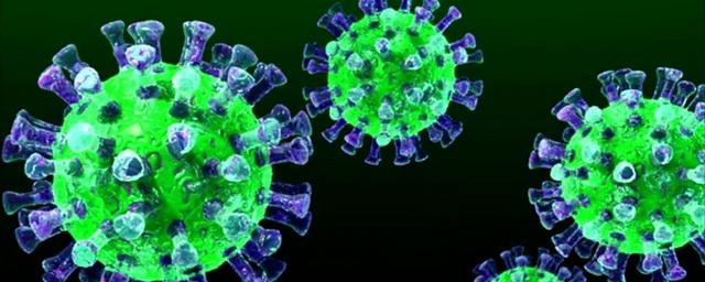 В Хакасии выявлено более 4 тыс. случаев коронавируса