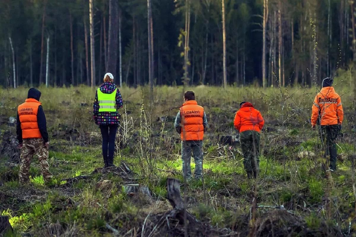 Нижегородские волонтеры подвели итоги поисков за март 2026 года