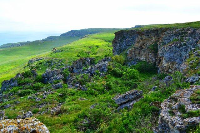 В Крыму в 2017 году планируют открыть три новых заказника