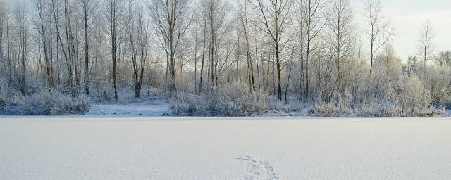 В Новозыбковском районе дети нашли труп мужчины