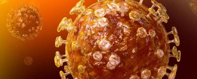 В Тюменской области коронавирусом заболели еще 172 человека