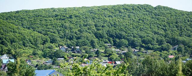 В Приморье в этом году на развитие сельских поселений потратят около 230 млн рублей