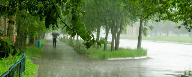 В Омской области ожидаются сильные дожди с грозами