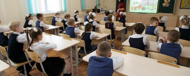 В новосибирских школах будет действовать смешанная система образования