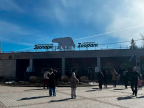 Депутаты предлагают создать в Петербурге новый зоопарк