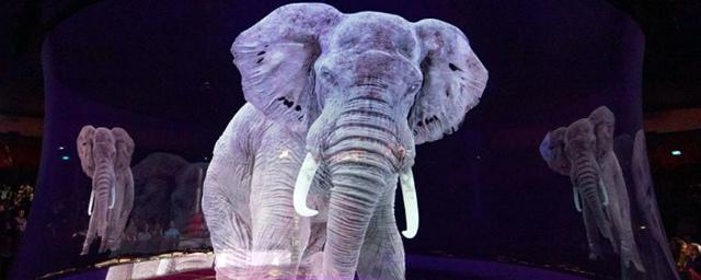 В Магасе откроют цирк с голографическими копиями животных