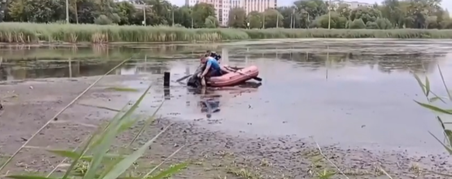 В Челябинске пенсионерка едва не утонула в трясине озера - видео