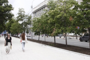 Мэр Максим Кудрявцев: В Новосибирске с начала года было высажено более 32 тысяч деревьев и кустарников