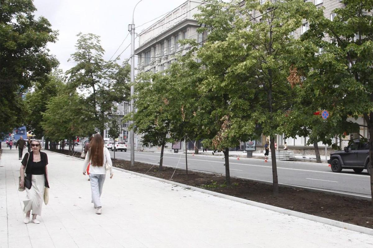 Мэр Максим Кудрявцев: В Новосибирске с начала года было высажено более 32 тысяч деревьев и кустарников