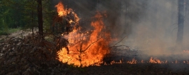В Тункинском нацпарке Бурятии продолжают тушить крупный лесной пожар