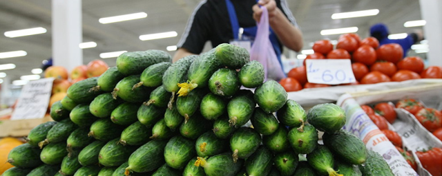 Огурцы стали единственным продуктом, который подешевел с начала спецоперации на Украине