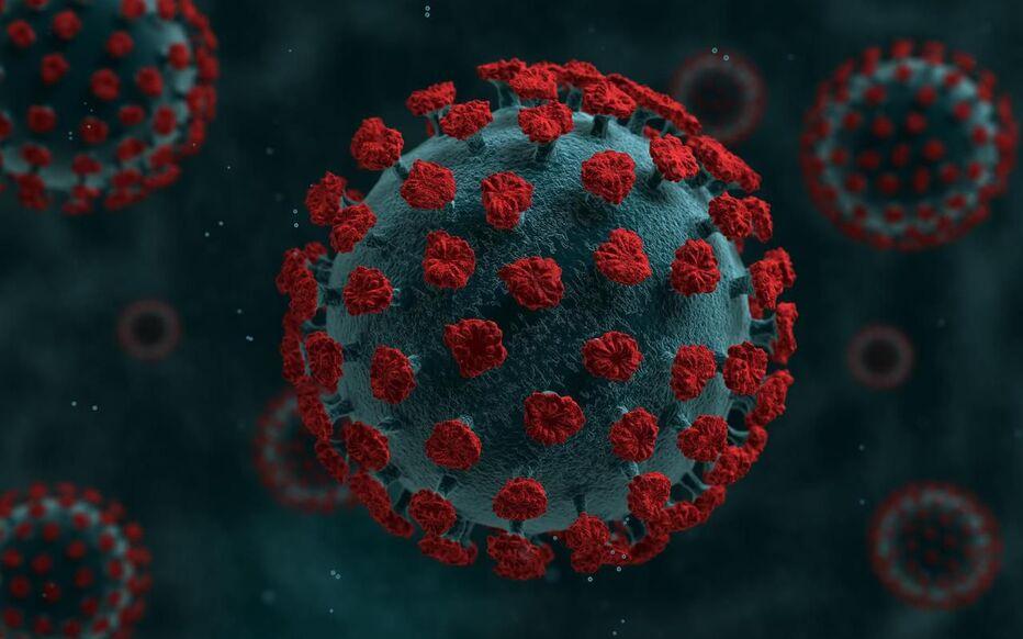 Французские ученые работают над созданием вакцины против ВИЧ