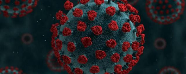 Французские ученые работают над созданием вакцины против ВИЧ