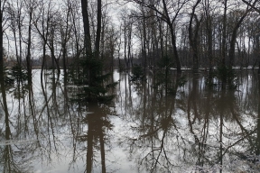 Популярный парк уходит под воду: паводок в Туле набирает силу