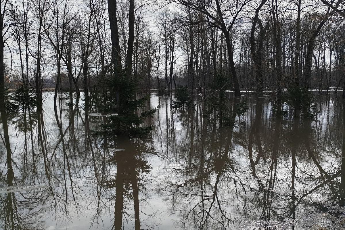 Популярный парк уходит под воду: паводок в Туле набирает силу