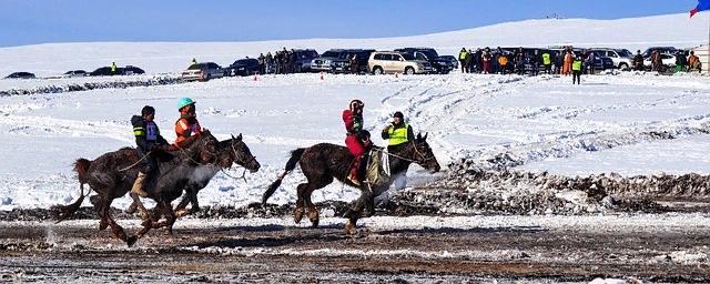 В Рязанской области прошли гуляния с конными скачками