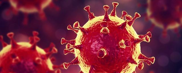 В Бурятии ещё 39 человек заразились коронавирусом