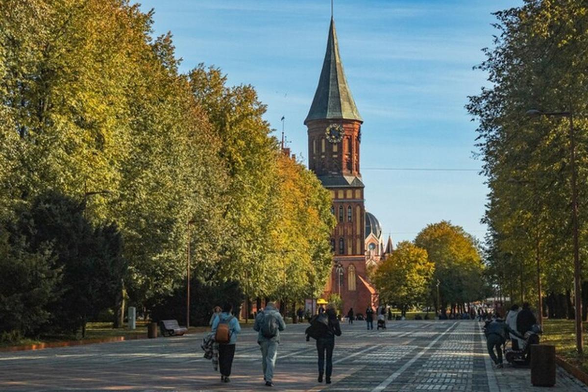 Появятся прямые рейсы между Новосибирском и Калининградом