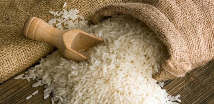 На Кубани отметили краевой праздник риса